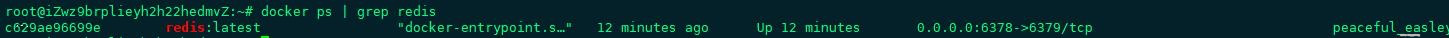 docker启动成功